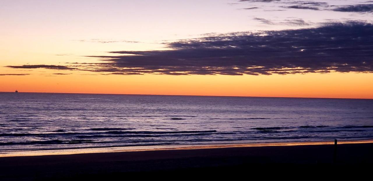 Beachfront Sanctuary Apartamento South Padre Island Exterior foto